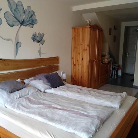 BalatonfůzfőLiliana Vendeghazアパートメント 部屋 写真