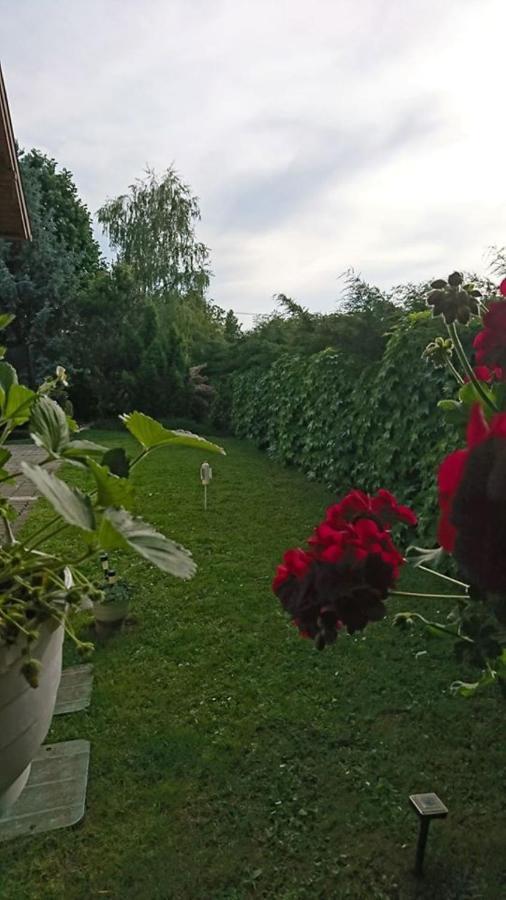 BalatonfůzfőLiliana Vendeghazアパートメント エクステリア 写真